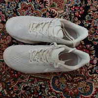 کتونی نایکی|کیف، کفش، کمربند|قروه, |دیوار