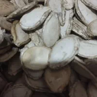 بذرکدوحلوایی قانزالی