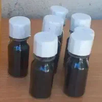 سورمه قلم گاو