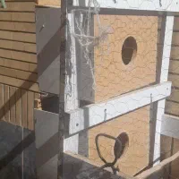 قفس|لوازم جانبی حیوانات|میاندوآب, |دیوار