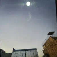 همخونه همخانه