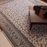 فرش ۹ متری مشهد درجه یک|فرش|پرند, فاز ۴|دیوار