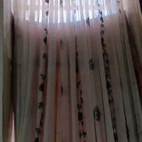 پرده|پرده، رانر، رومیزی|زاهدان, |دیوار