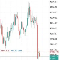 آموزش درآمد از بازار و کار در منزل|خدمات آموزشی|یزد, |دیوار