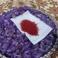 زعفران درجه یک یک همراه با بوی عطر|خوردنی و آشامیدنی|کوهدشت, |دیوار