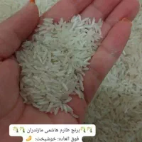 برنج طارم