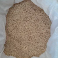 برنج هاشمی شمال