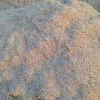 کاه گندم ابی