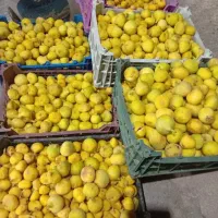 انجیر کیفیت عالی