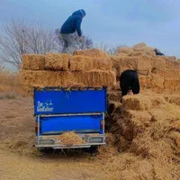 حمل و نقل انواع بار توسط نیسان|خدمات حمل و نقل|قم, پردیسان|دیوار