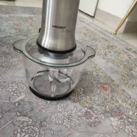 خردکن وینسنت