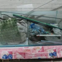 آکواریم و وسایل