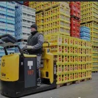 بازاریاب حرفه ای