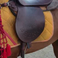 زین طرح برنو