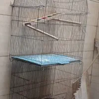 قفس پرنده|لوازم جانبی حیوانات|اهواز, کوی ایثار|دیوار