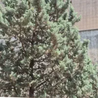 خانه-ویلای
