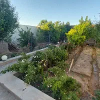 فروش-باغچه-ساخته-شده