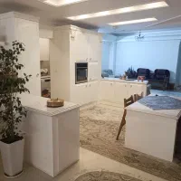 کابینت انزو تمیزفروشی