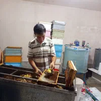 عسل طبیعی