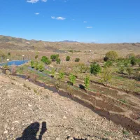 باغ در رود خانه دلبر