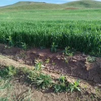 7کیسه زمین کشاورزی