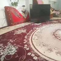 ال سی دی ۴۰ صنام