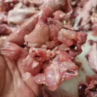 اسکلت چرخ شده