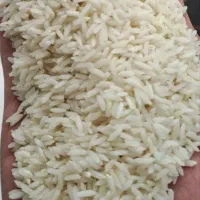 برنج الکاظمی نمونه مشمپا