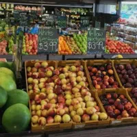 اجاره ۳ دانگ مغازه داخل میدان تره بار