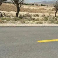 زمین کشاورزی|فروش دفتر صنعتی، کشاورزی، تجاری|شاهرود, |دیوار