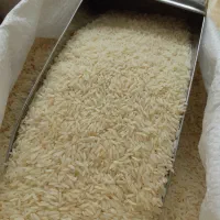 برنج دم سیاه استانه