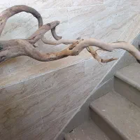 آکواریوم