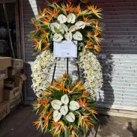 عمده فروشی تاج گل ترحیم ونمایشگاه بین‌المللی