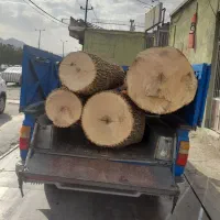 خرید انواع چوب