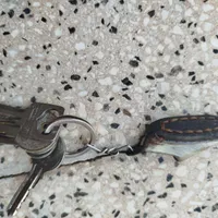 پیدا شده