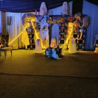 باغ تولد ،عقد ،نامزدی