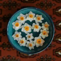 آش وحلیم کاکا (مادر)|خدمات پذیرایی، مراسم|اشکذر, |دیوار