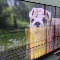 ال ای دی جی پلاس پنل آسیب دیده ۵۵ اینچ