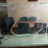 آکواریوم و صدف