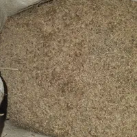 فروش سبوس برنج مخصوص طیور|لوازم جانبی حیوانات|دزفول, |دیوار