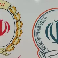 ضامن برای زرین