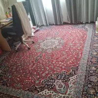 ۱۲ متری ۱۰۰۰۰ شانه