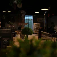 واگزاری-کافه-کردان