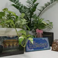 فروش-مغازه-و-ساختمان-کلی135-متری-مرکز-شهر