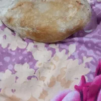 شهاب سنگ طلا دار|کلکسیون اشیاء عتیقه|قدس, شهر‌قدس|دیوار