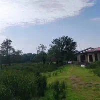 فروش زمین ۴هکتاری تو دل جنگل|فروش زمین و ملک کلنگی|شفت, |دیوار