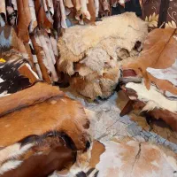 فروش انواع پوست گوسفند (دباغی شده)|صنایع دستی و سایر لوازم تزئینی|تهران, خاک سفید|دیوار