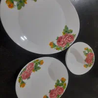 سرویس غذا خوری