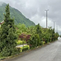 شهرک جدید مدرن ویلایی باسندتکبرگ ونگهبانی24ساعته|فروش زمین و ملک کلنگی|نشتارود, |دیوار