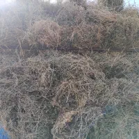 خریدوفروش یونجه بصورت نقددراسرع وقت|لوازم جانبی حیوانات|ارومیه, |دیوار